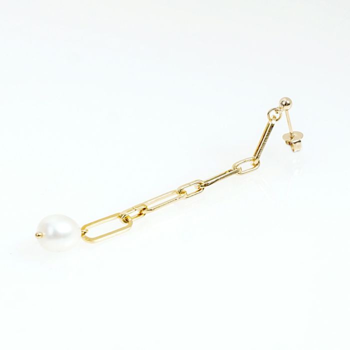 チェーン ドロップ ピアス イヤリング Chain Drop Pierce Earring