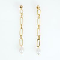 チェーン ドロップ ピアス イヤリング Chain Drop Pierce Earring