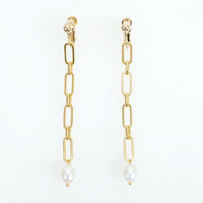 チェーン ドロップ ピアス イヤリング Chain Drop Pierce Earring