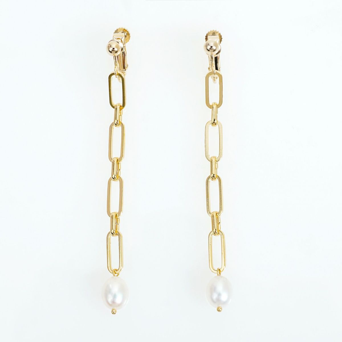 チェーン ドロップ ピアス イヤリング Chain Drop Pierce Earring