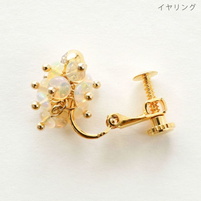 グレープ ピアス イヤリング Grape Pierce Earring