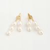 パール V ピアス イヤリング Pearl V Pierce Earring