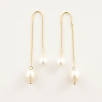 アシンメトリー アメリカン ピアス Asymmetry American Pierce