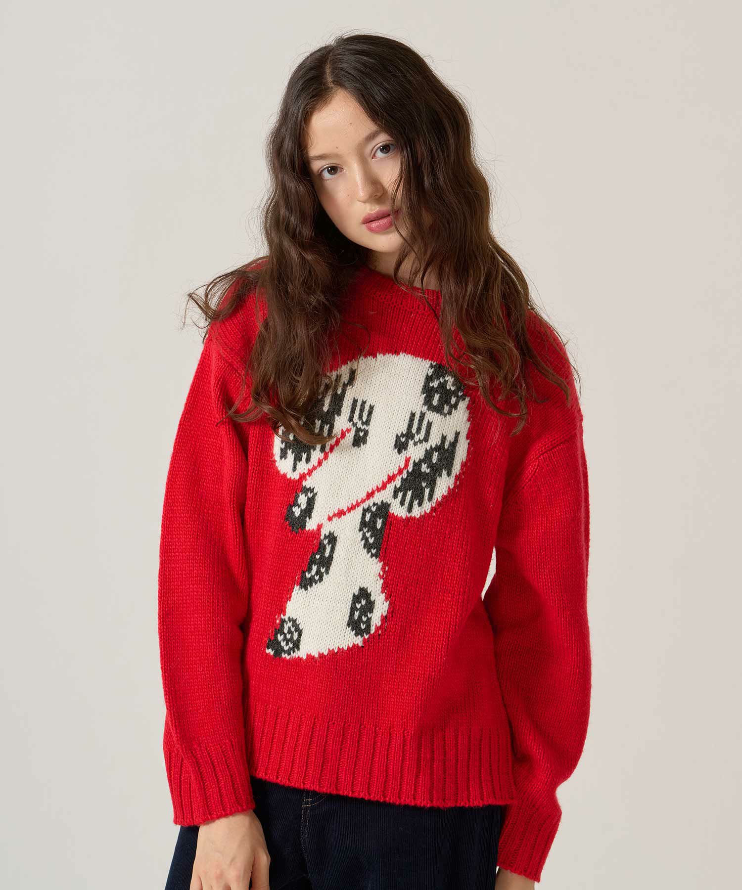 ジャカード/ニット/イヌ