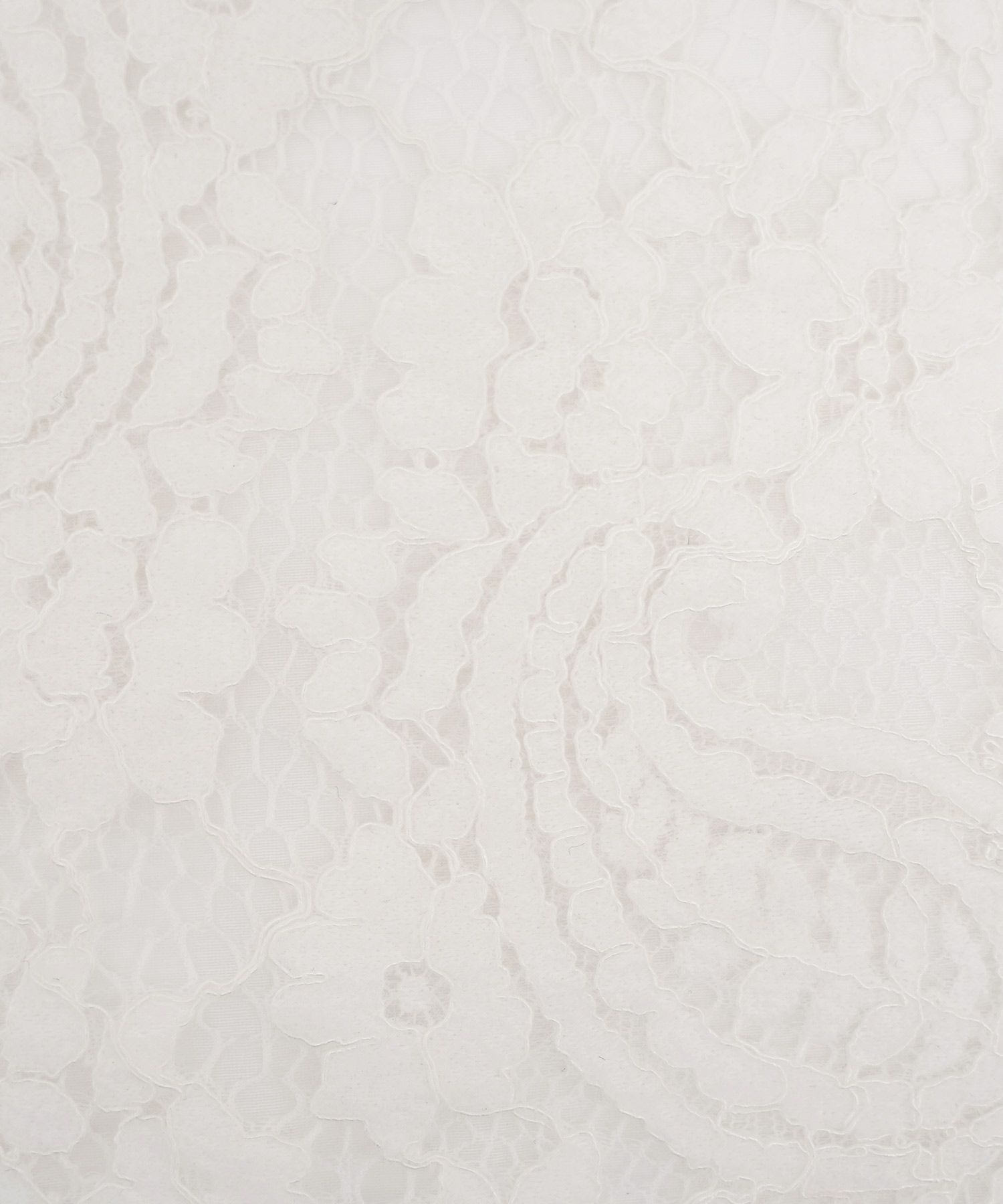 レース ブラウス 起毛 トップス 花柄 ペイズリー ランタンスリーブ 二の腕カバー パールボタン 7分袖 フェミニン 秋冬 ウエストシェイプ 大人可愛い 上品 華やか フェミニン エレガント きれいめ